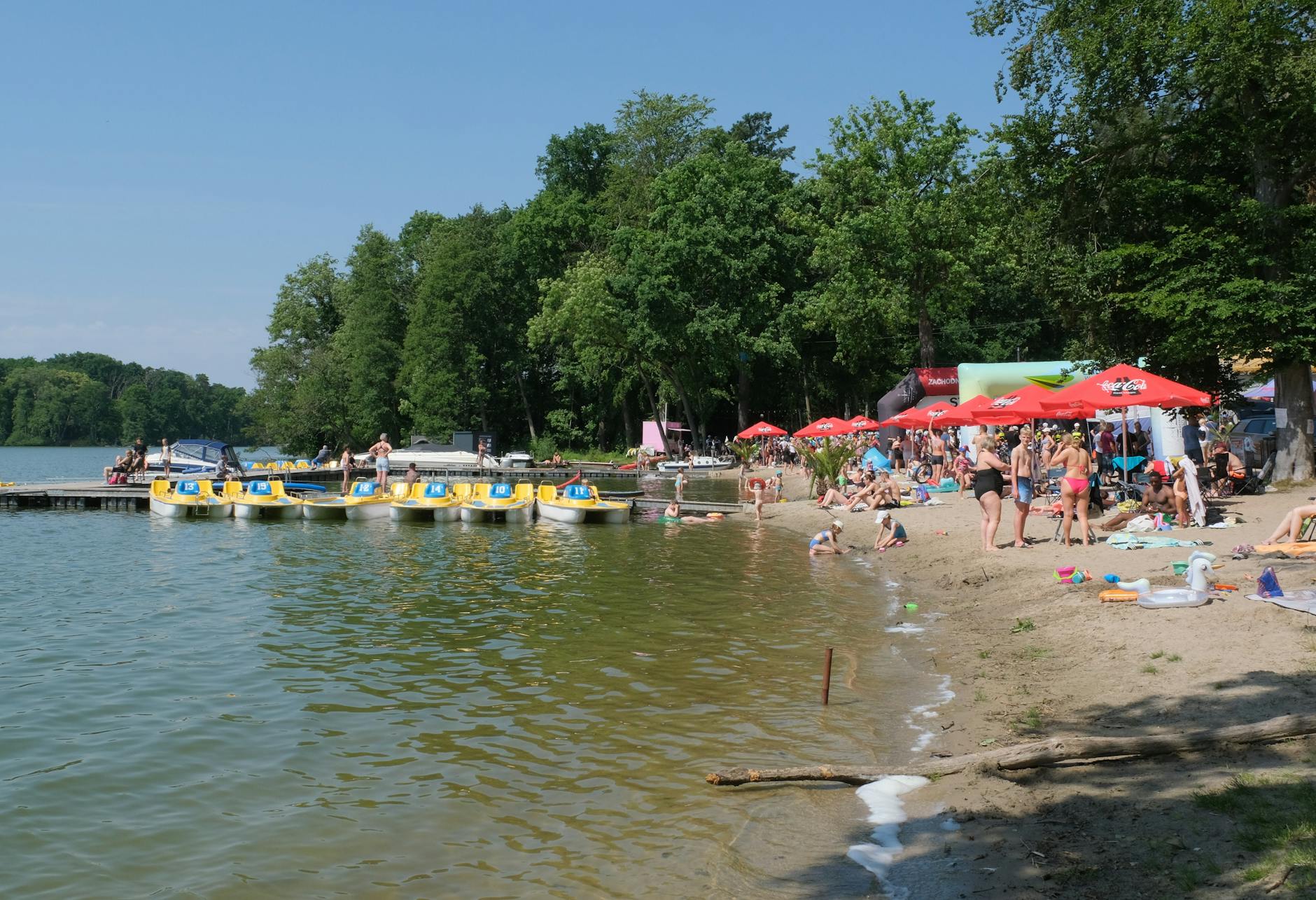 Mieszkańcy Lędzin świętujący majówkę na tle zieleni miejskiej lub podczas lokalnego festynu.